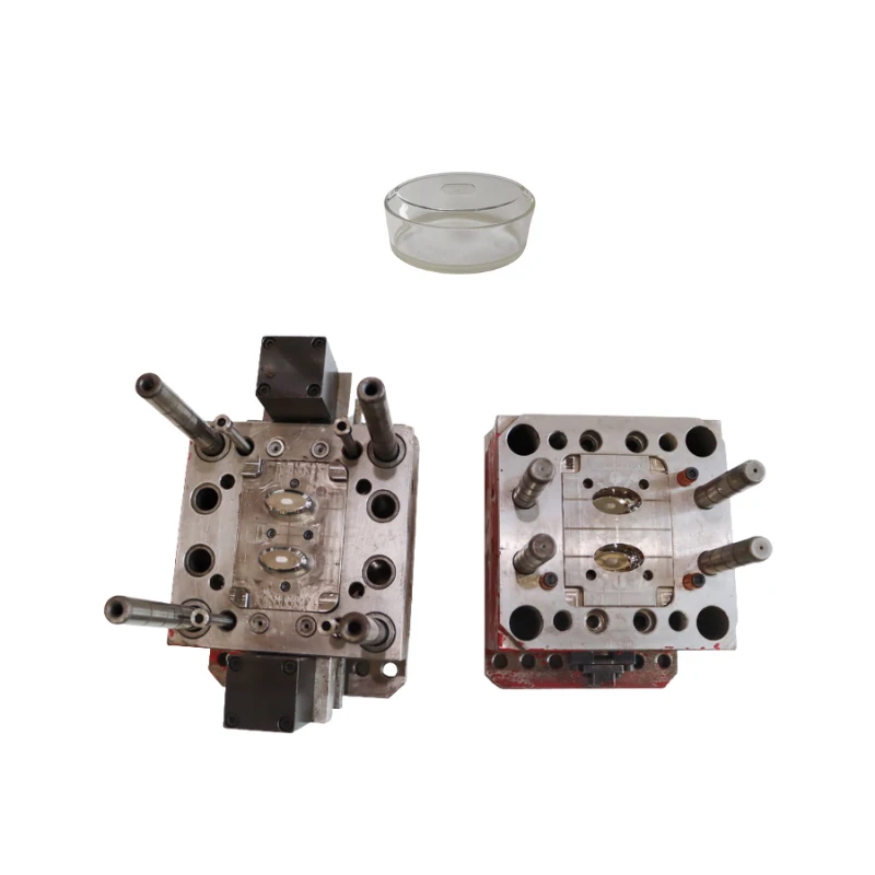 Custom Plastic Injection Mold For Beauty Instrument Shell