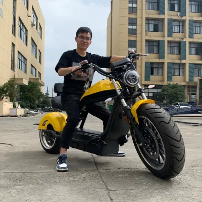 Scooter Motocicleta Elétrica para Adultos, Armazém Europeu, 2000W, 3000W