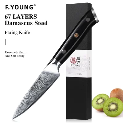 Youdung 3.5 Polegada faca de aparar 67 camada aço damasco vg10 núcleo aço afiada utilitário descascamento vegetal faca frutas ferramenta doméstica