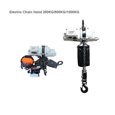 Talha de corrente elétrica 220v/110v sem escova 1000kg 3m pequena talha silenciosa de corrente dupla guindaste pequeno para barco/armazém