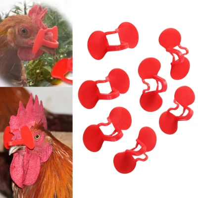 Óculos de frango reforçados e não aparafusados, 2 feixes, design de galo, máscara anti-doque, óculos anti-pasque, ferramentas de reprodução de aves, 50 peças