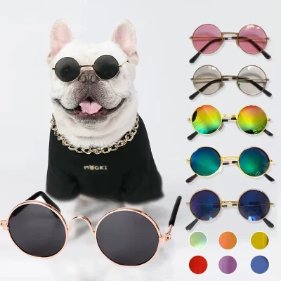 Óculos para um gato produtos para animais de estimação bens para animais acessórios para cães legal engraçado o gatinho lentes sol foto adereços óculos de sol coloridos