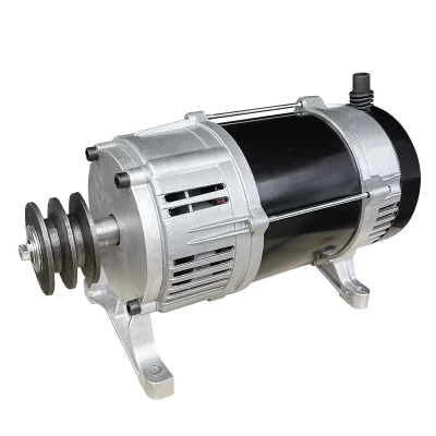 Gerador permanente pequeno da polia, 3000W, tensão 220V da C.A., todo o cobre, movimento perpétuo