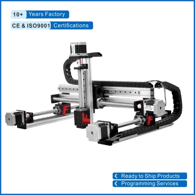 Fuyu pórtico robô xyz palco cnc roteador motorizado mesa de 3 eixos movimento linear bola parafuso guia ferroviário com motor passo-passo