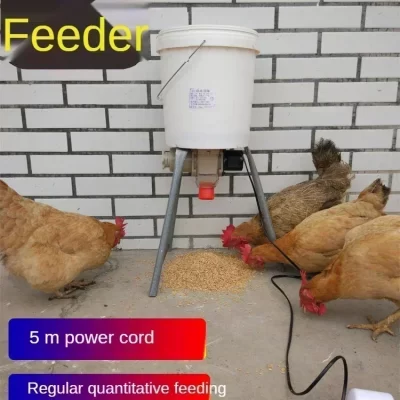 Alimentador automático de frango, pombos, frango, pato, transportador de pombos, cronometragem inteligente, alimentador automático de frango, suprimentos para pombos