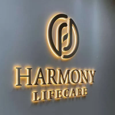 Logotipo personalizado do negócio do diodo emissor de luz letras iluminadas 3d led sinal retroiluminado sinal de negócios metal 3d sinal de escritório para parede