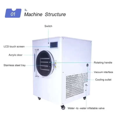 Máquina de secagem contínua portátil alimentos vácuo liofilizador automático de alimentos, liofilizador doméstico