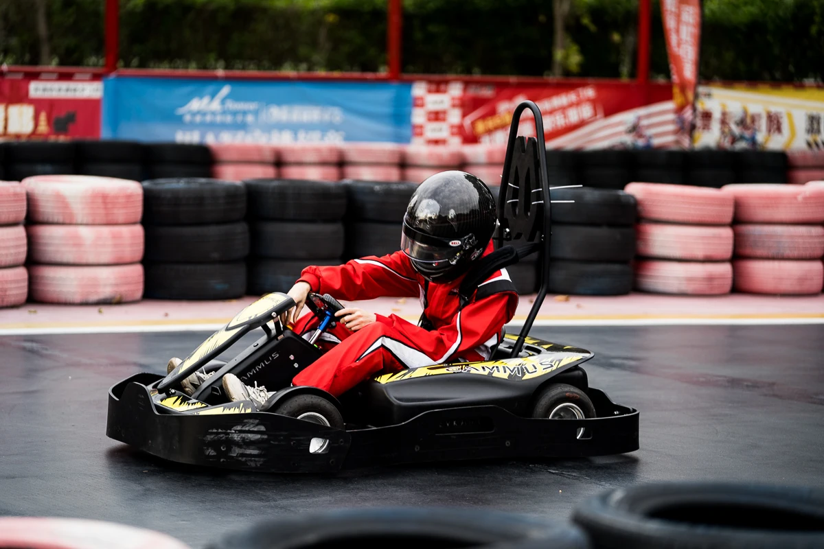 Emprendedor de kart de parque de diversões ao ar livre de alta qualidade - Image 5