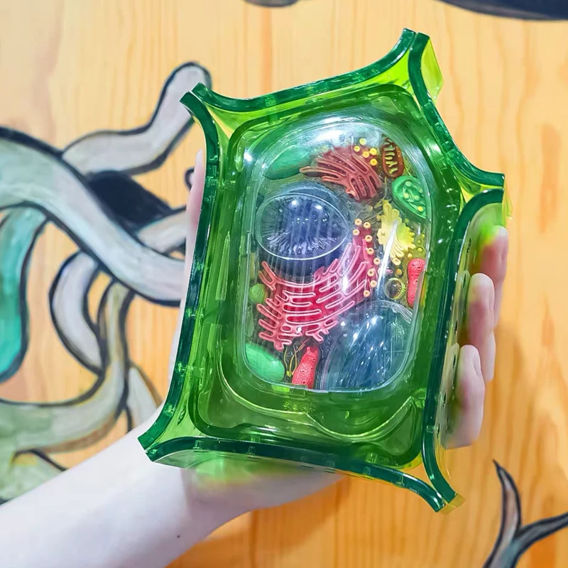 Brinquedo de inteligência de célula 4d de planta, montagem de órgão humano, modelo de anatomia, ensino de medicina, aparelhos de ciências populares diy - Image 2