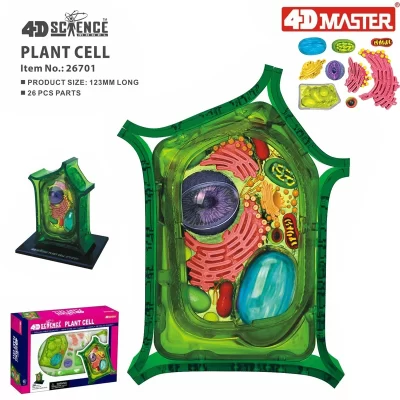 Brinquedo de inteligência de célula 4d de planta, montagem de órgão humano, modelo de anatomia, ensino de medicina, aparelhos de ciências populares diy