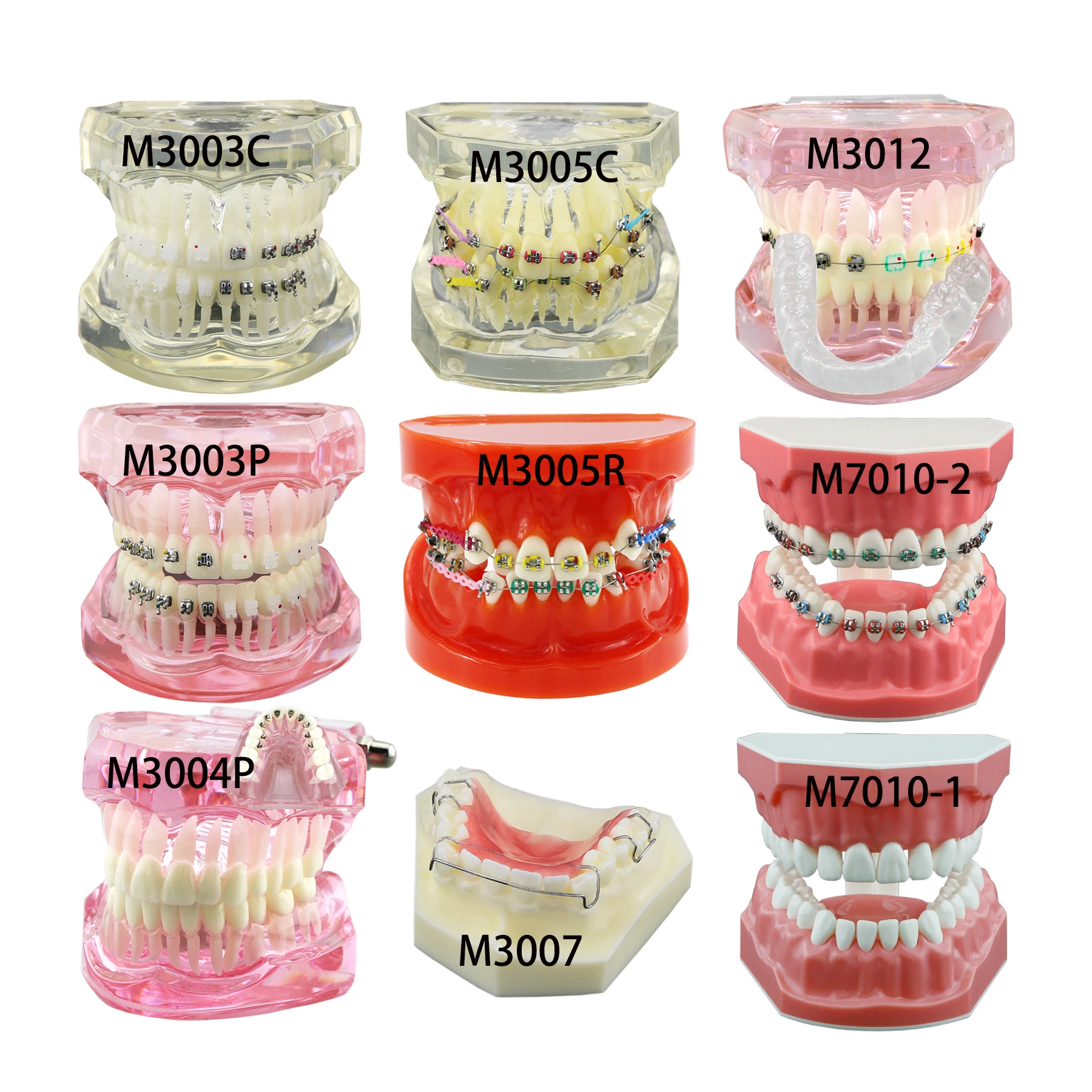 Modelo de dentes ortodônticos dentários Typodont com suporte cerâmico de metal autoligado, ligadura de retentor lingual Hawley, demonstração padrão