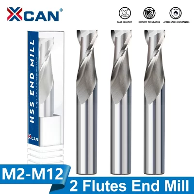 XCAN End Mills High Speed Steel M2 Metal Cutter 2 Flutes Straight Shank CNC Router Bit for Wood Aluminum Steel 2-12mm