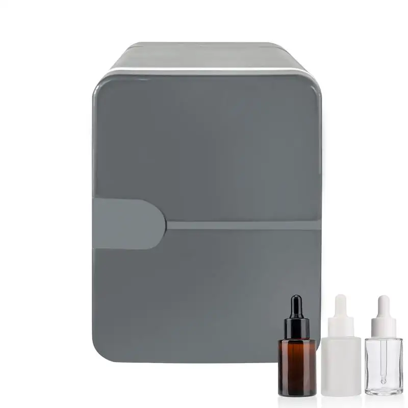 Mini Car Refrigerator 6L Thermal And Cool Fridge 12V DC 220V Ac Electric Coolers Portable Camping Refrigerator For Home Dormitor