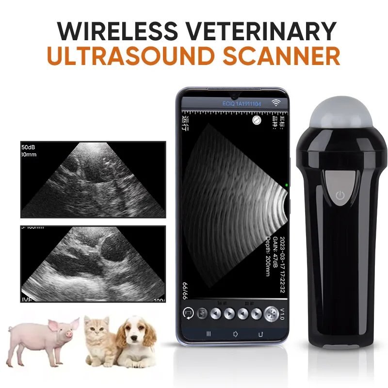 Scanner de ultrassom veterinário portátil sem fio para porcos, cães, ovelhas, sonda ip67, scanner de ultrassom portátil, detecção de gravidez