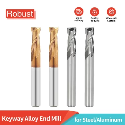 Fresa de topo revestida de carboneto de tungstênio de 2 flautas: especializada para usinagem de chaveta, com haste reta estendida, adequada para liga