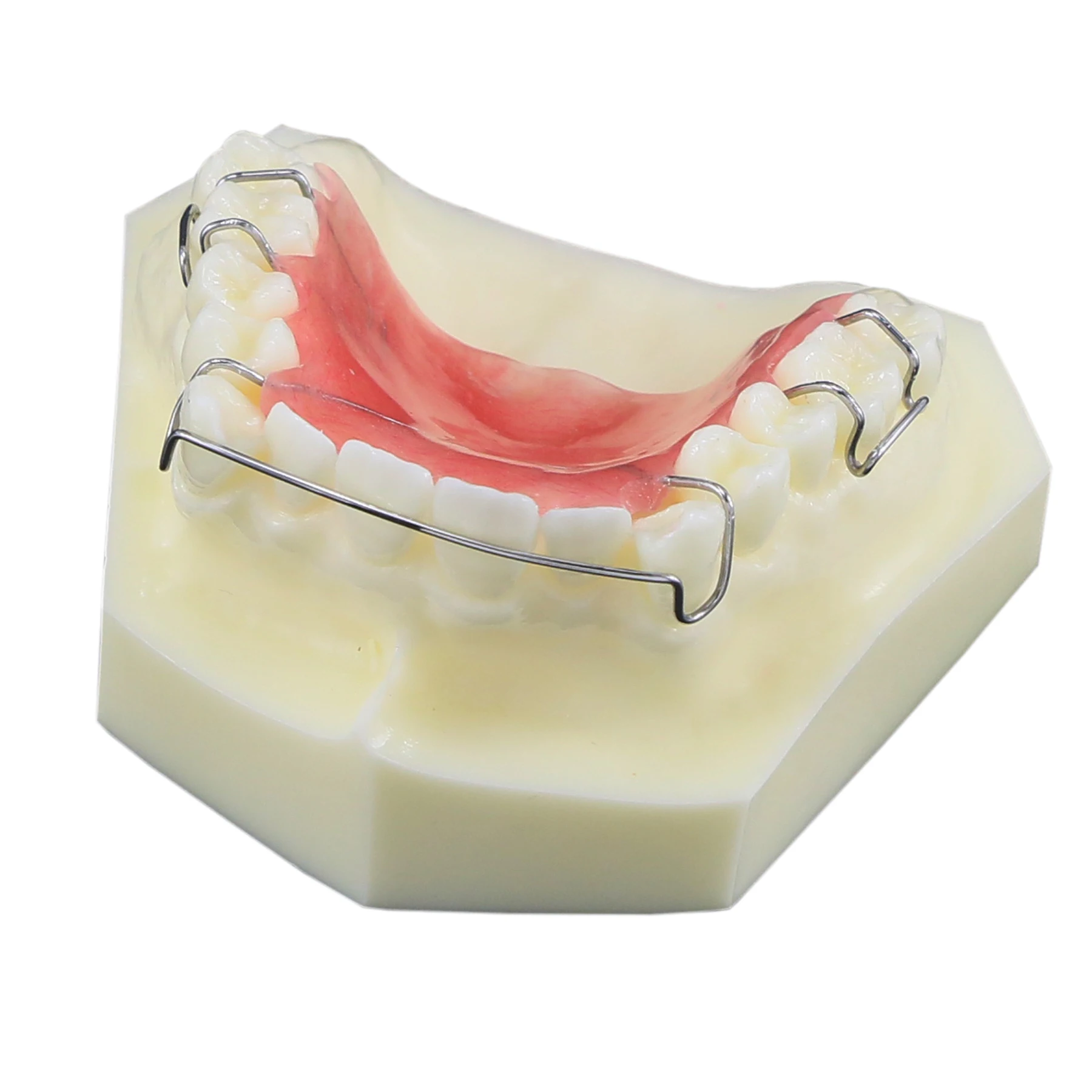 Modelo de dentes ortodônticos dentários Typodont com suporte cerâmico de metal autoligado, ligadura de retentor lingual Hawley, demonstração padrão - Image 5