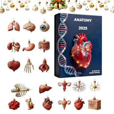 Anatomia calendário do advento natal 24 dias 2d acrílico pingente engraçado anatomia humana miniaturas para médicos enfermeiros professores estudantes
