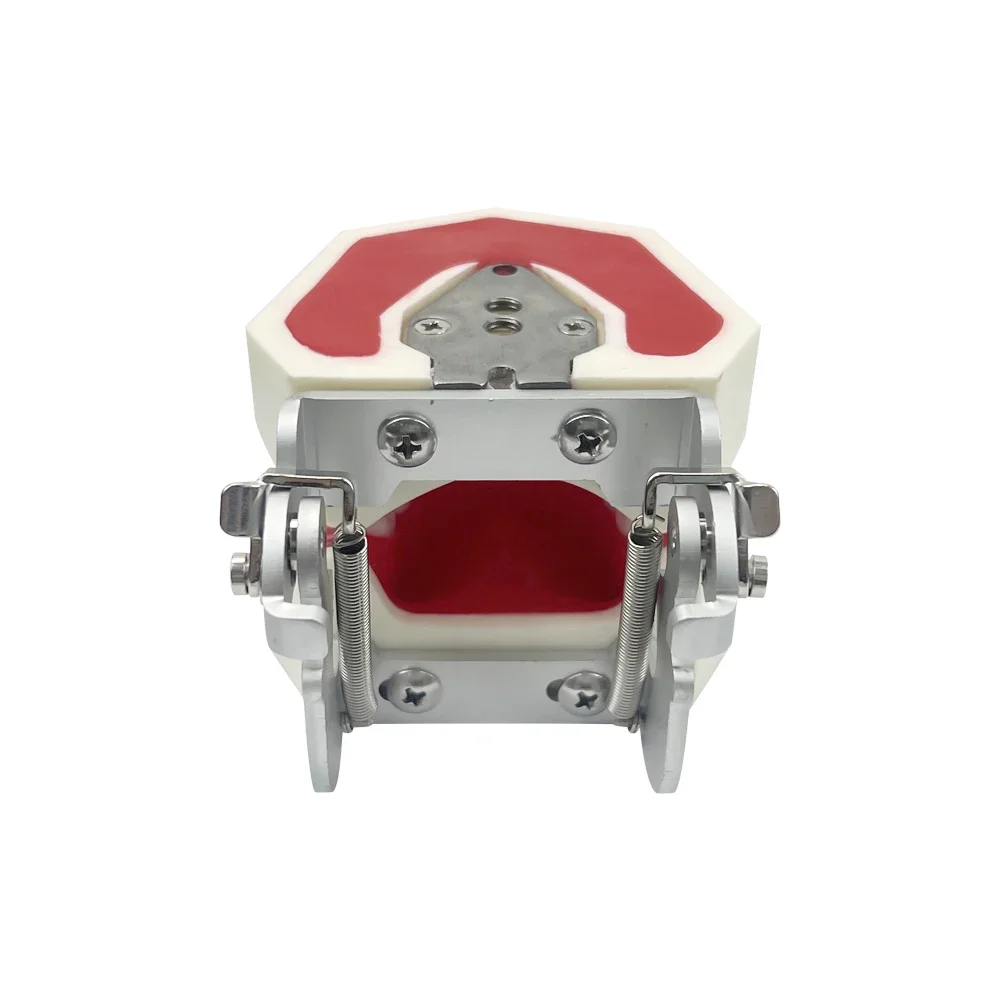 Modelo dental com suporte ortodôntico removível modelo de ensino dental tipodonte com cera vermelha para estudo de ensino de pacientes dentistas - Image 3
