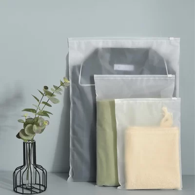 WORTHBUY 10pcs/Set Portable Storage Organizer Bag For Underwear Clothes Shoe, Waterproof Transparent Plastic Ziplock Storage Bag