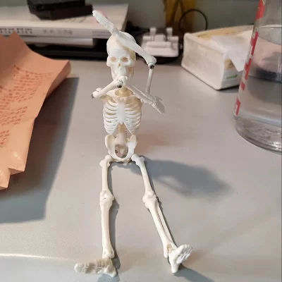 Modelo de Anatomia do Esqueleto Humano para Estudo, Corpo Adulto, Modelo Médico Conjunto, Aprenda Ensino, Suprimentos Científicos Populares, 20cm, 45cm