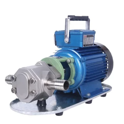 220V/380V Oil Hydraulic Oil Pump Electric Gear Oil Pump Oil Pump Explosion-proof Stainless Steel Food Grade Gear Oil Pump