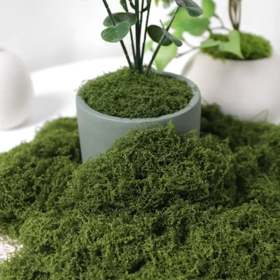 30/50/100g plantas verdes artificiais musgo grama casa sala de estar decoração do jardim mini paisagem flor falsa artesanato diy
