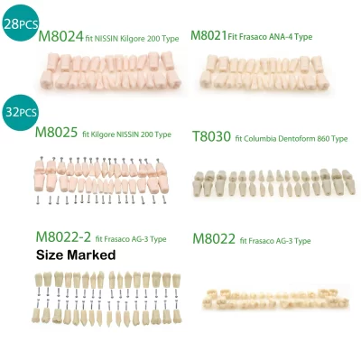 6 espéciesDental Typodont Substituição Parafuso Dentes Modelo Fit Kilgore NISSIN 200 Frasaco AG3 Frasaco ANA-4 Columbia Dentoform 860
