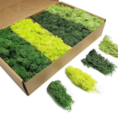 Plantas verdes artificiais vida eterna musgo diy artesanato grama jardim casa decoração do quarto mini paisagem grama falsa 20/40/100g