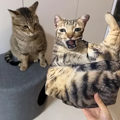 Uma travesseiro para animais de estimação personalizável, brinquedo de pelúcia com retrato 3D personalizado para cães e gatos, mini brinquedo de travesseiro animal