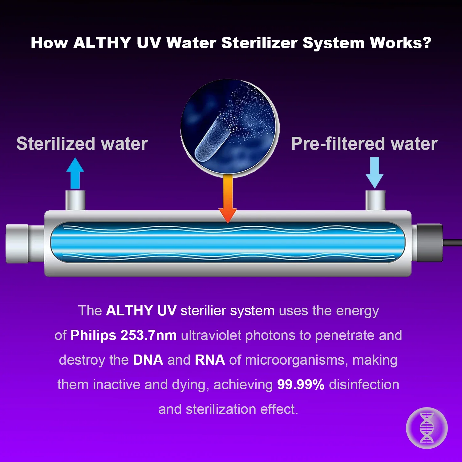 Althy uv ultravioleta esterilizador de água purificador sistema desinfecção filtro lâmpada + interruptor fluxo controle aço inoxidável 1gpm - Image 3