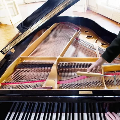 Kit de afinação de piano profissional, 7 peças, kit de ferramentas de mudo de martelo de afinador de piano, chave de afinação, ferramentas de alavanca de afinação de piano [AA74-AAA]