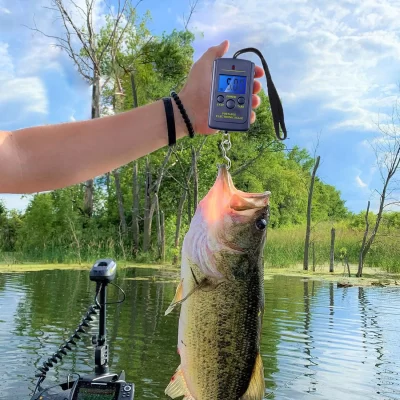 Balança de bagagem digital eletrônica com luz de fundo, peso mini, balança pendurada portátil mala de viagem ao ar livre, pesca, 40kg, 10g