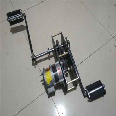 Gerador de pedal 12V24V2000W220v800W AC ímã permanente sem escova de carregamento de bateria DC de alta potência