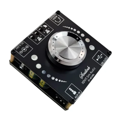 XY-AP100L 100WX2 Bluetooth 5.0 Placa Amplificadora Estéreo AUX USB Placa de Som Amplificador de Potência Digital DC 12V 24V