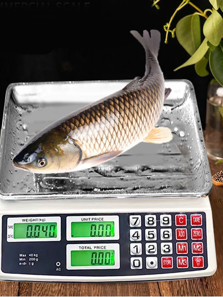 Balança de Contagem 40kg/1g com Placa de Aço Inoxidável, Balança Eletrônica Pequena para Mercado de Agricultores e Açougues - Image 3