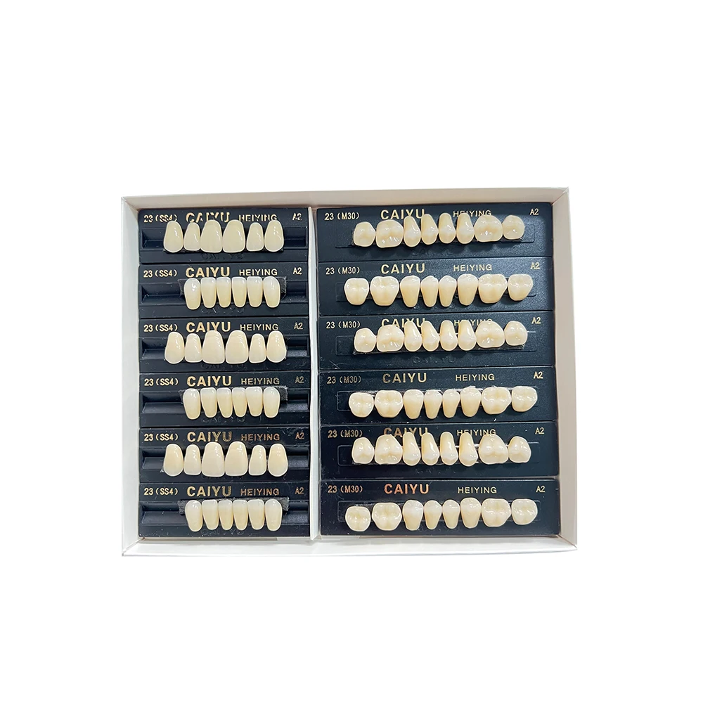 96 pçs/set dental resina acrílica dentes falsos anteriores posteriores a1 a2 a3 artificial pré-formado dentadura dentes para prótese dental - Image 6
