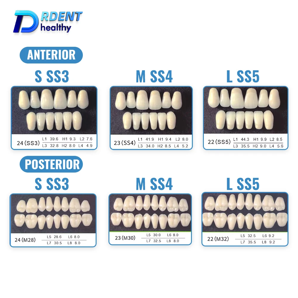 96 pçs/set dental resina acrílica dentes falsos anteriores posteriores a1 a2 a3 artificial pré-formado dentadura dentes para prótese dental - Image 2