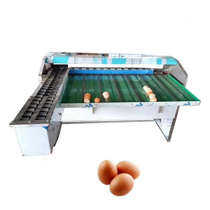 Máquina Automática Personalizada para Clasificar Huevos, Sistema de Transporte Continuo para Clasificación de Huevos, Equipo de Manipulación de Huevos Estable - Image 6