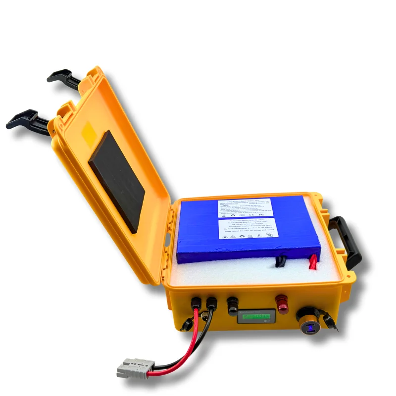 Waterproof 12V 24V 36V 48V 80Ah 100Ah 150Ah 200Ah 400Ah Lifepo4 Battery BMS Inside for Trolling Motor Boat RV +Charger - Image 4