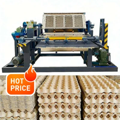 Línea de Producción de Bandejas para Huevos de Alta Eficiencia, Máquina para Fabricar Bandejas de Papel, Máquina Integrada para Formar Papel con Secador, Personalizable, Gran Venta