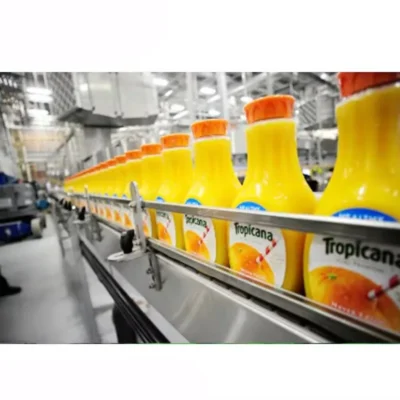 Línea de Producción de Máquina Automática para Llenado de Jugos de Frutas (Manzana, Mango) en Botellas, Proyecto Personalizado