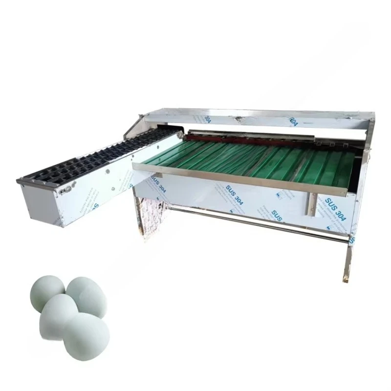 Máquina Automática Personalizada para Clasificar Huevos, Sistema de Transporte Continuo para Clasificación de Huevos, Equipo de Manipulación de Huevos Estable - Image 3
