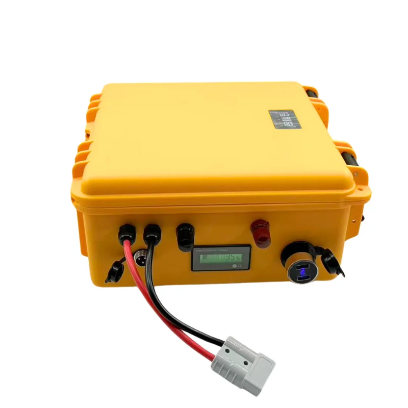 Waterproof 12V 24V 36V 48V 80Ah 100Ah 150Ah 200Ah 400Ah Lifepo4 Battery BMS Inside for Trolling Motor Boat RV +Charger - Image 2