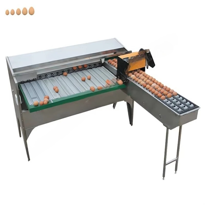 Máquina Automática Personalizada para Clasificar Huevos, Sistema de Transporte Continuo para Clasificación de Huevos, Equipo de Manipulación de Huevos Estable
