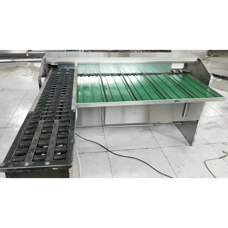 Máquina Automática Personalizada para Clasificar Huevos, Sistema de Transporte Continuo para Clasificación de Huevos, Equipo de Manipulación de Huevos Estable - Image 4