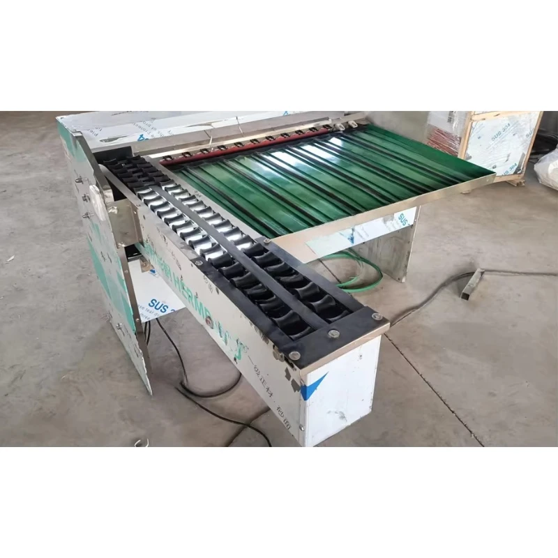 Máquina Automática Personalizada para Clasificar Huevos, Sistema de Transporte Continuo para Clasificación de Huevos, Equipo de Manipulación de Huevos Estable - Image 5