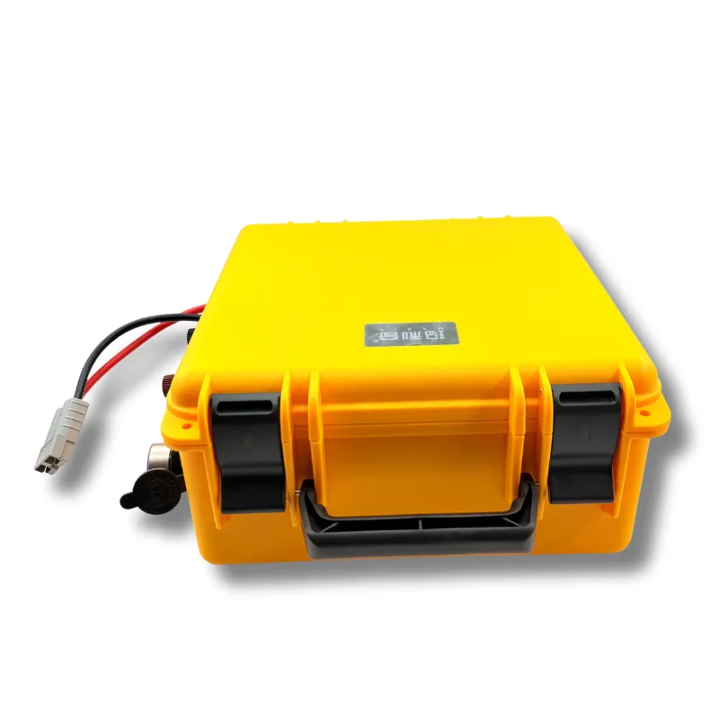 Waterproof 12V 24V 36V 48V 80Ah 100Ah 150Ah 200Ah 400Ah Lifepo4 Battery BMS Inside for Trolling Motor Boat RV +Charger - Image 5