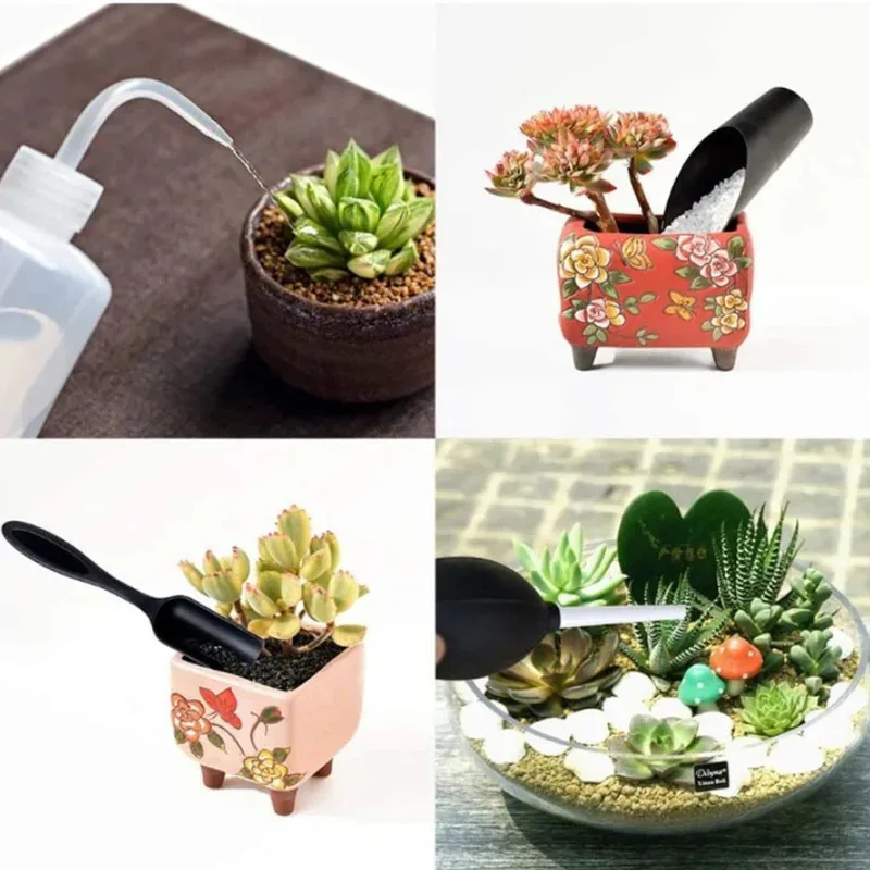 Mini conjunto de ferramentas para cuidados com plantas suculentas - 16 peças de suprimentos de transplante manual para bonsai e flores internas e externas - Image 2