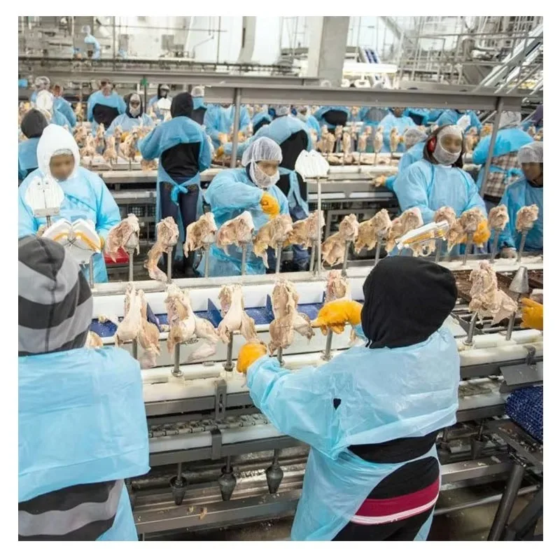 Automatic Chicken Slaughter & Processing Machine Turkey Slaughter Line Equipment - Image 6
