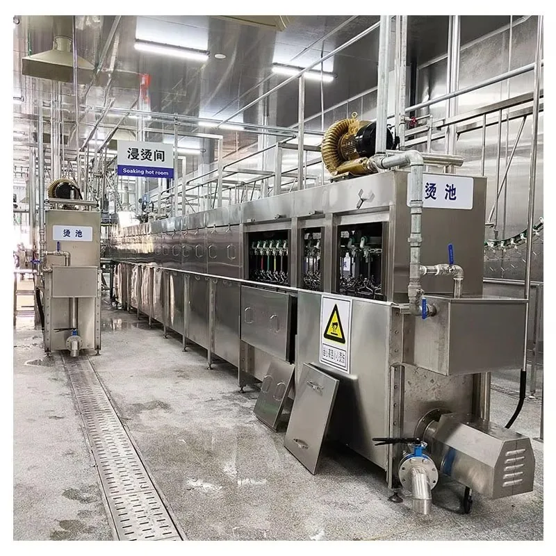 Automatic Chicken Slaughter & Processing Machine Turkey Slaughter Line Equipment - Image 3